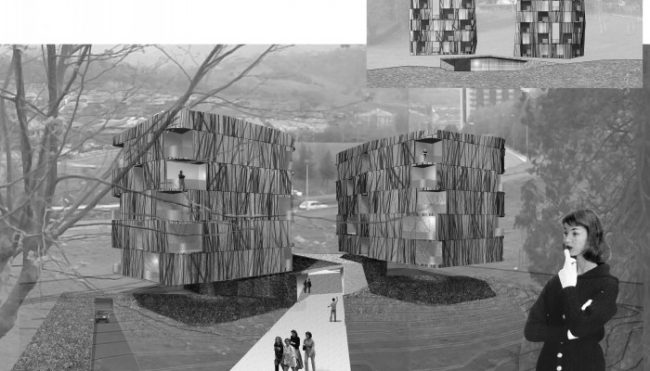 60 Apartamentos para jóvenes. Donosti